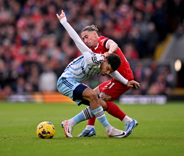 这将不仅是 这将不仅是